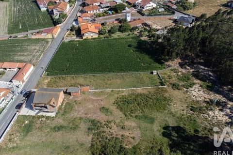 Helårsgrund i Estarreja, Aveiro, Estarreja - € 50.000 | Ref: 955514 - foto 7