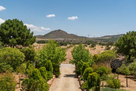 Finca i Freila, Granada, Freila - € 1.340.000 | Ref: 2398 - foto 40