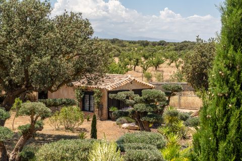 Finca i Freila, Granada, Freila - € 1.340.000 | Ref: 2398 - foto 41
