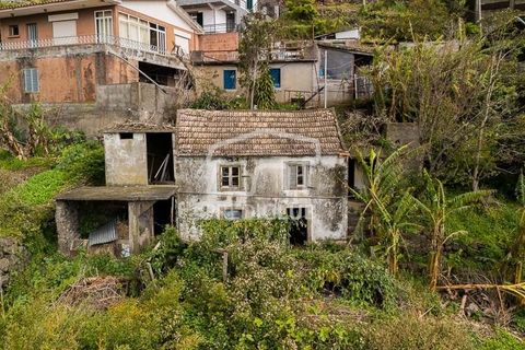 Helårsgrund i Machico, Madeira, Machico - € 115.000 | Ref: 12059-NP - foto 9