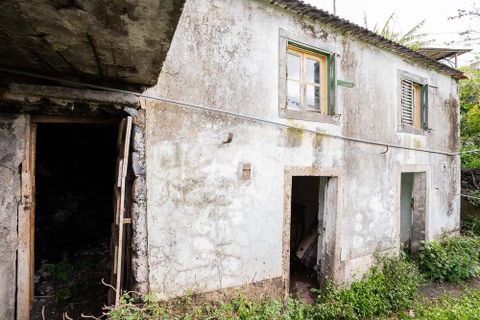 Helårsgrund i Machico, Madeira, Machico - € 115.000 | Ref: 12059-NP - foto 11