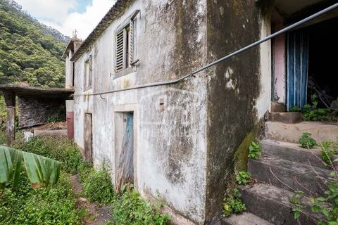 Helårsgrund i Machico, Madeira, Machico - € 115.000 | Ref: 12059-NP - foto 12