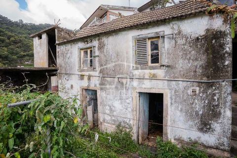 Helårsgrund i Machico, Madeira, Machico - € 115.000 | Ref: 12059-NP - foto 13