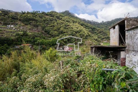Helårsgrund i Machico, Madeira, Machico - € 115.000 | Ref: 12059-NP - foto 15