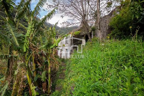 Helårsgrund i Machico, Madeira, Machico - € 115.000 | Ref: 12059-NP - foto 17