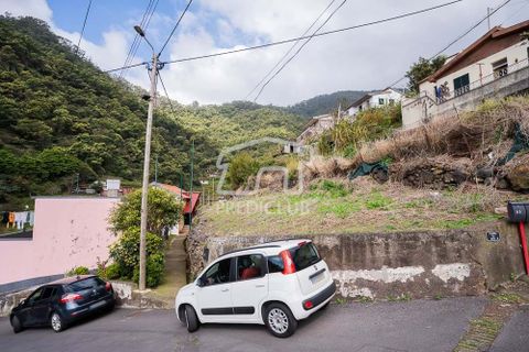 Helårsgrund i Machico, Madeira, Machico - € 115.000 | Ref: 12059-NP - foto 19