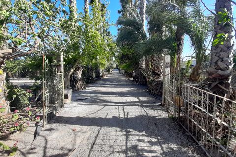 Finca i Orihuela, Alicante, Orihuela - € 1.700.000 | Ref: 35161 - foto 9
