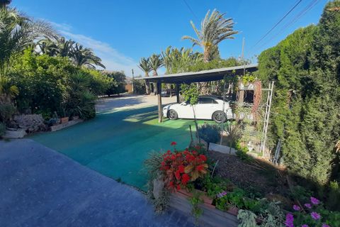 Finca i Orihuela, Alicante, Orihuela - € 1.700.000 | Ref: 35161 - foto 17