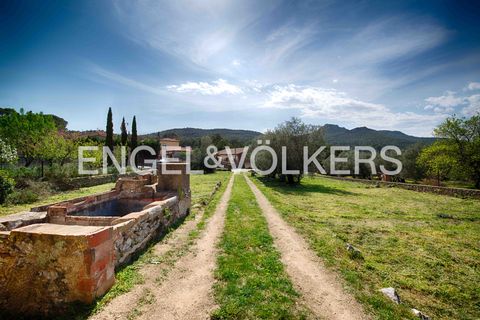 Landsbyhus i Darnius, Gerona, Darnius - € 580.000 | Ref: W-04AEXQ - foto 3