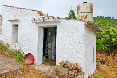 Lejlighed i Almachar, Malaga, Almachar - € 185.000 | Ref: AX1449 - foto 30