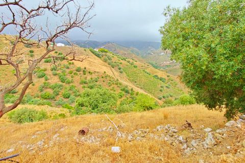 Lejlighed i Almachar, Malaga, Almachar - € 185.000 | Ref: AX1449 - foto 16