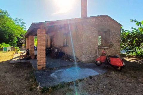 Byhus i Cetraro, Cosenza, Cetraro - € 83.000 | Ref: 1597 - foto 7