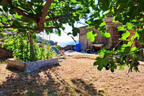 Byhus i Cetraro, Cosenza, Cetraro - € 83.000 | Ref: 1597 - foto 11