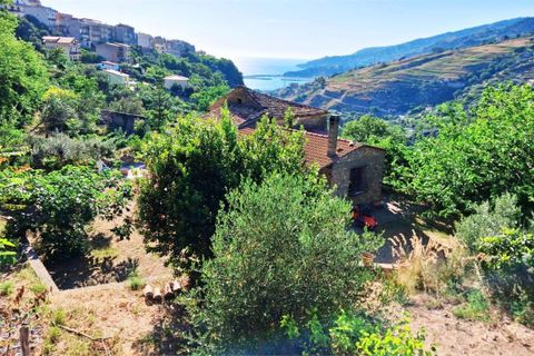 Byhus i Cetraro, Cosenza, Cetraro - € 83.000 | Ref: 1597 - foto 12