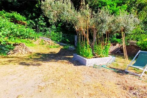 Byhus i Cetraro, Cosenza, Cetraro - € 83.000 | Ref: 1597 - foto 24