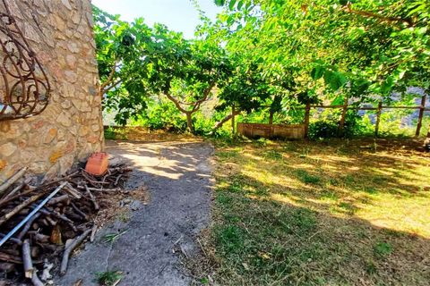 Byhus i Cetraro, Cosenza, Cetraro - € 83.000 | Ref: 1597 - foto 25