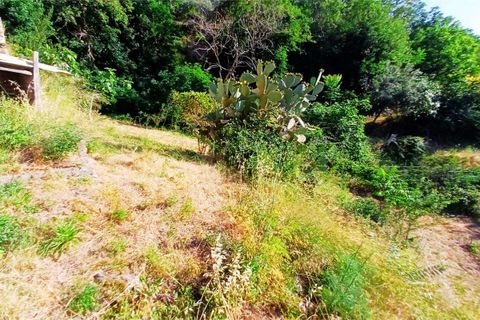 Byhus i Cetraro, Cosenza, Cetraro - € 83.000 | Ref: 1597 - foto 32