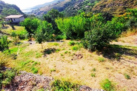 Byhus i Cetraro, Cosenza, Cetraro - € 83.000 | Ref: 1597 - foto 34