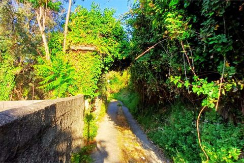Byhus i Cetraro, Cosenza, Cetraro - € 83.000 | Ref: 1597 - foto 37