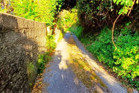 Byhus i Cetraro, Cosenza, Cetraro - € 83.000 | Ref: 1597 - foto 38