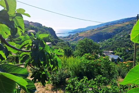 Byhus i Cetraro, Cosenza, Cetraro - € 83.000 | Ref: 1597 - foto 44