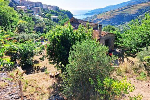 Byhus i Cetraro, Cosenza, Cetraro - € 83.000 | Ref: 1597 - foto 45