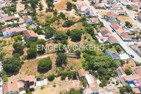 Tomt i Quinta do Anjo, Setubal, Quinta do Anjo - € 400 000 | Ref: W-049XXL - foto 6