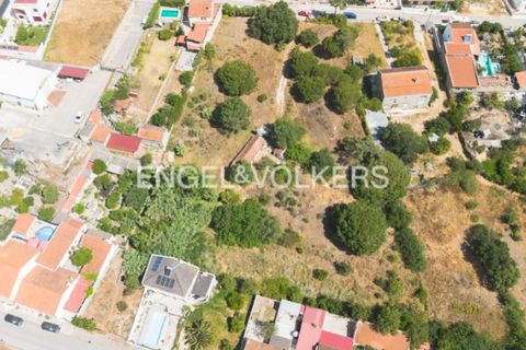 Tomt i Quinta do Anjo, Setubal, Quinta do Anjo - € 400 000 | Ref: W-049XXL - foto 11