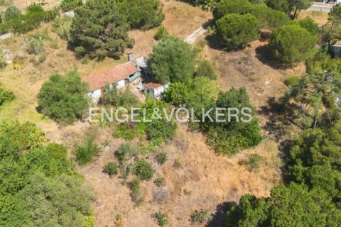 Tomt i Quinta do Anjo, Setubal, Quinta do Anjo - € 400 000 | Ref: W-049XXL - foto 20