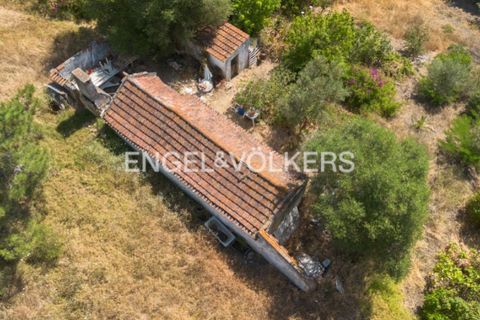 Tomt i Quinta do Anjo, Setubal, Quinta do Anjo - € 400 000 | Ref: W-049XXL - foto 22