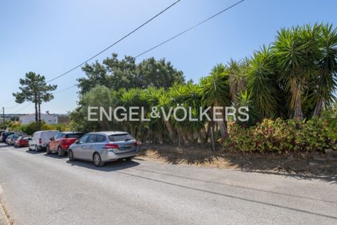 Tomt i Quinta do Anjo, Setubal, Quinta do Anjo - € 400 000 | Ref: W-049XXL - foto 26