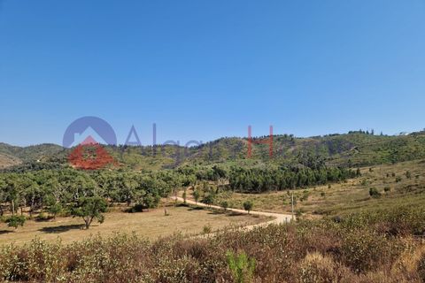 Terrain - Odeceixe, Faro, Odeceixe - € 89 000 | Réf : SÒL_383 - photo 2