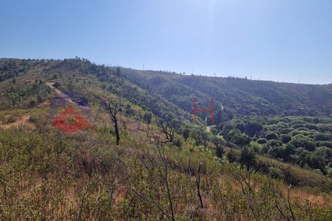 Terrain - Odeceixe, Faro, Odeceixe - € 89 000 | Réf : SÒL_383 - photo 4