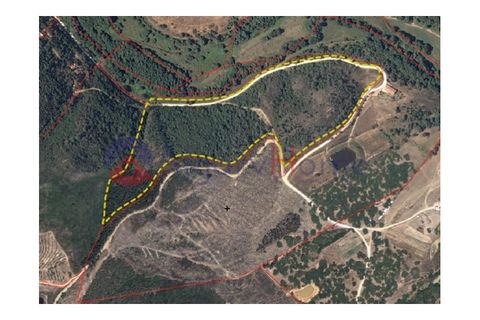 Terrain - Odeceixe, Faro, Odeceixe - € 89 000 | Réf : SÒL_383 - photo 5