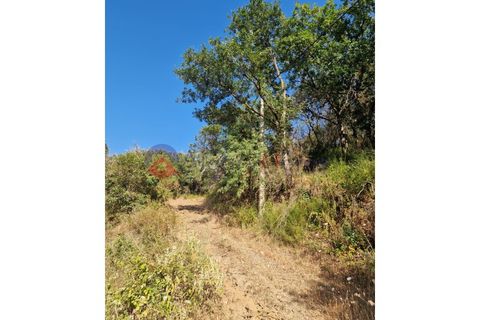 Terrain - Odeceixe, Faro, Odeceixe - € 89 000 | Réf : SÒL_383 - photo 6