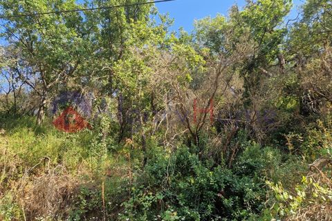 Terrain - Odeceixe, Faro, Odeceixe - € 89 000 | Réf : SÒL_383 - photo 10