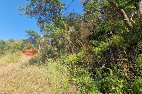 Terrain - Odeceixe, Faro, Odeceixe - € 89 000 | Réf : SÒL_383 - photo 13