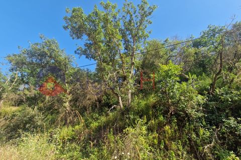Terrain - Odeceixe, Faro, Odeceixe - € 89 000 | Réf : SÒL_383 - photo 14