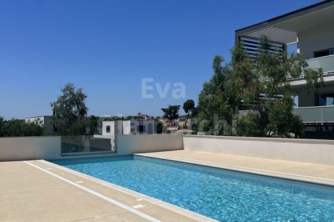 Lejlighed i Beziers, Herault, Beziers - € 175.000 | Ref: VA2662-ACTIVPATRIMONIA - foto 17