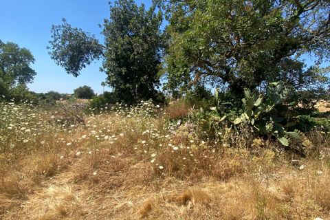 Lejlighed i Modica, Ragusa, Modica - € 149.000 | Ref: 11741 - foto 4