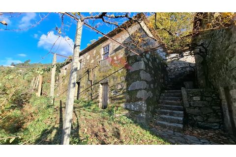 Landejendom i Ponte de Lima, Viana do Castelo, Ponte de Lima - € 115.000 | Ref: PTL-1247-JD-1125 - foto 1