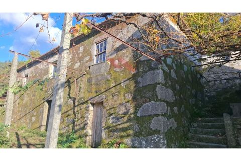 Landejendom i Ponte de Lima, Viana do Castelo, Ponte de Lima - € 115.000 | Ref: PTL-1247-JD-1125 - foto 2