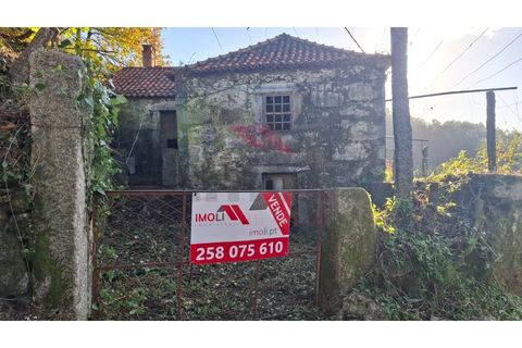 Landejendom i Ponte de Lima, Viana do Castelo, Ponte de Lima - € 115.000 | Ref: PTL-1247-JD-1125 - foto 3