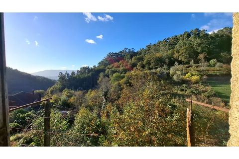 Landejendom i Ponte de Lima, Viana do Castelo, Ponte de Lima - € 115.000 | Ref: PTL-1247-JD-1125 - foto 10
