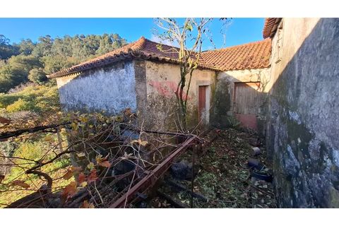 Landejendom i Ponte de Lima, Viana do Castelo, Ponte de Lima - € 115.000 | Ref: PTL-1247-JD-1125 - foto 11