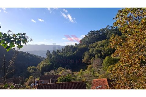 Landejendom i Ponte de Lima, Viana do Castelo, Ponte de Lima - € 115.000 | Ref: PTL-1247-JD-1125 - foto 12