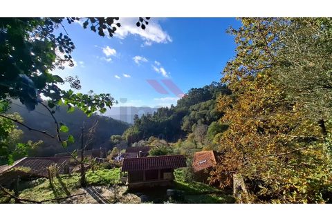 Landejendom i Ponte de Lima, Viana do Castelo, Ponte de Lima - € 115.000 | Ref: PTL-1247-JD-1125 - foto 13