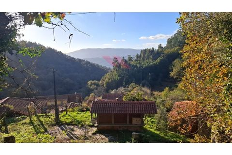 Landejendom i Ponte de Lima, Viana do Castelo, Ponte de Lima - € 115.000 | Ref: PTL-1247-JD-1125 - foto 14