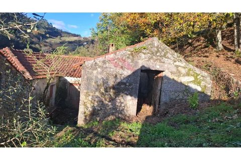 Landejendom i Ponte de Lima, Viana do Castelo, Ponte de Lima - € 115.000 | Ref: PTL-1247-JD-1125 - foto 15