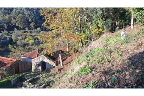 Landejendom i Ponte de Lima, Viana do Castelo, Ponte de Lima - € 115.000 | Ref: PTL-1247-JD-1125 - foto 16